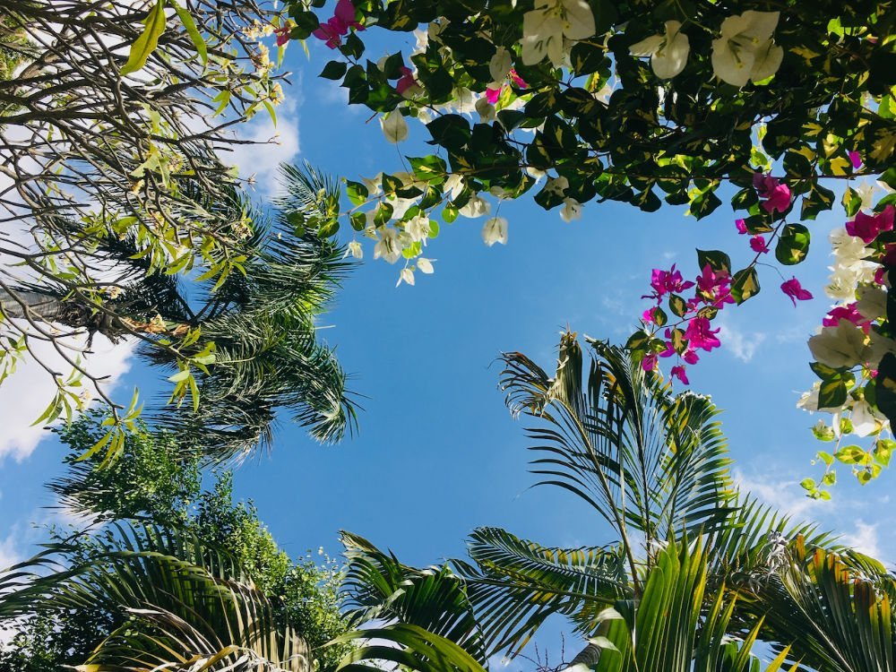 2020-header