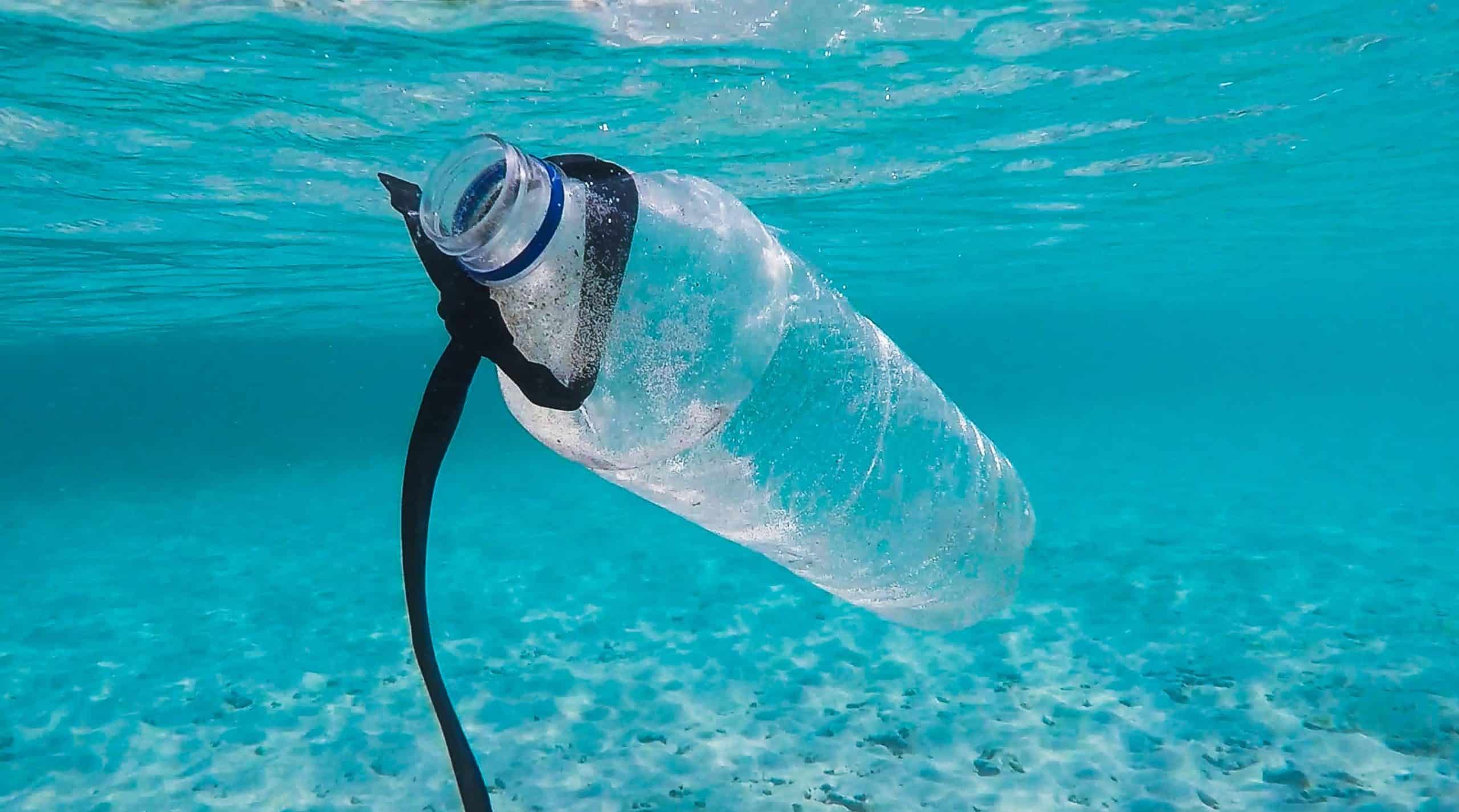 Plastic-free hints and tips